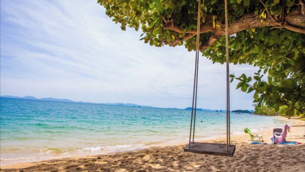 Una spiaggia con un'altalena sotto un albero, vista libera sul mare e una costa in lontananza.