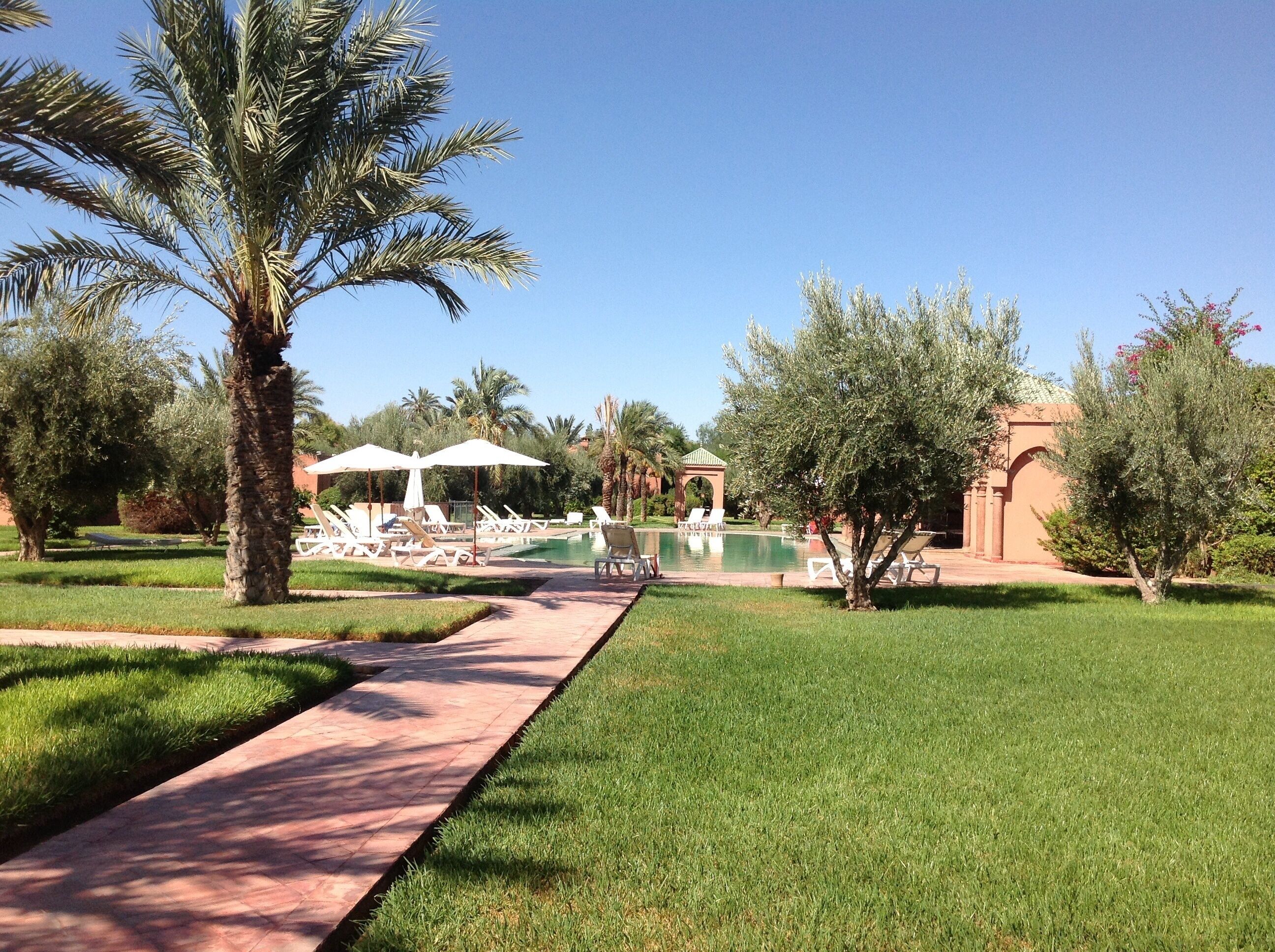 A pool area with lounge chairs and umbrellas, surrounded by palm trees and a pathway.