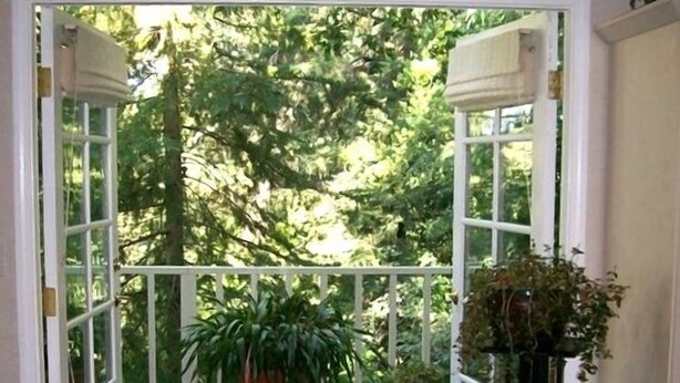 A wooden deck with a potted plant and a rug, leading to a glass door opening to a green outdoor area. - TRANQUJIL GARDEN STUDIO RETREAT,  W/HOT TUB
Minutes from Downtown Napa (Napa)