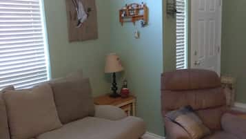 TV, DVD player, books, video library
