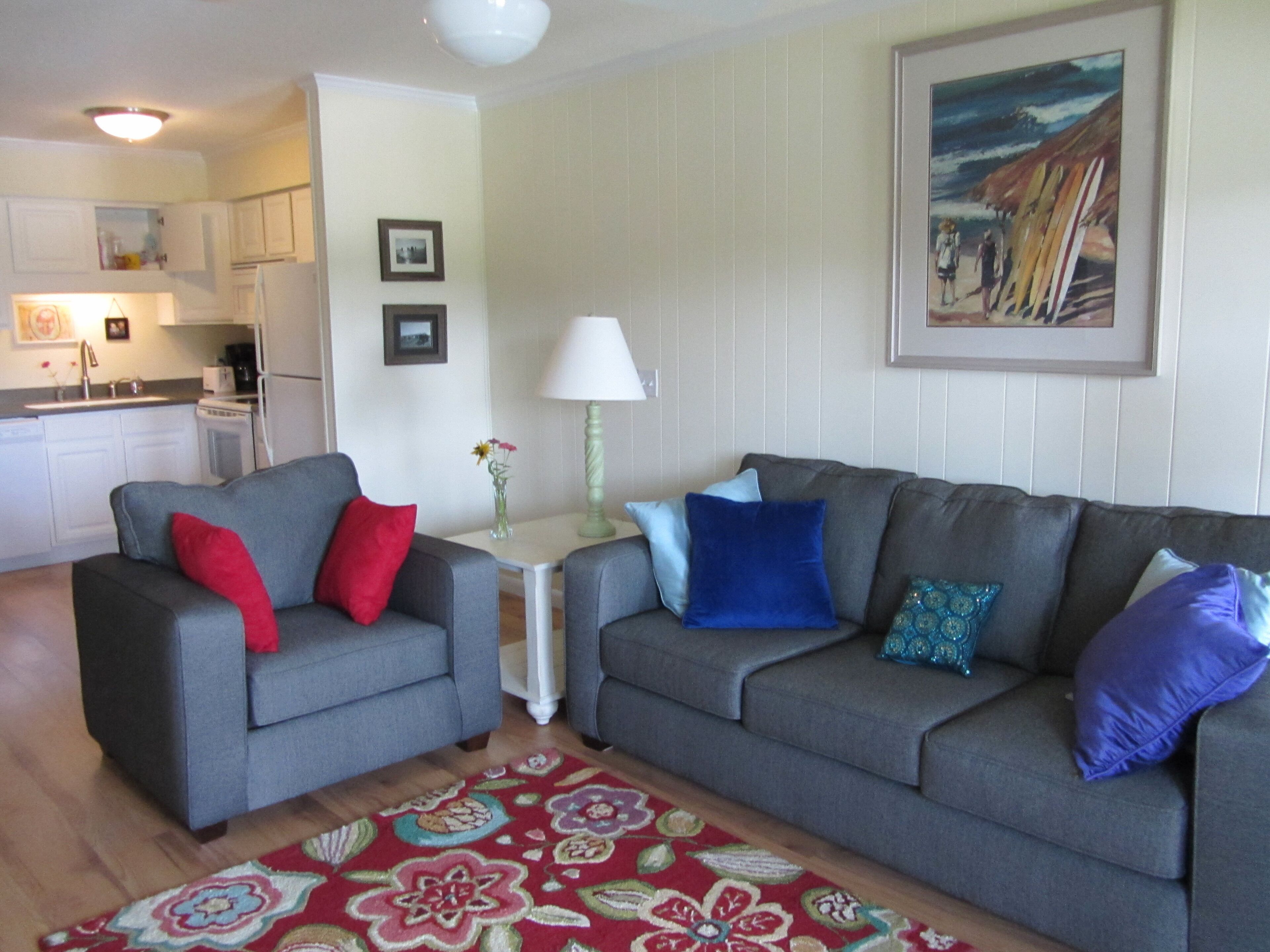 Smart TV, DVD player, books, video library