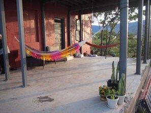 Terras