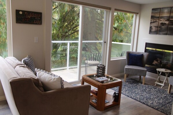 Televisión, chimenea y libros 