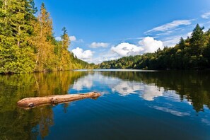 A calm lake surrounded by dense forest. - 'Emerald Lake' Studio - SUMMERTIME! (Bellingham)