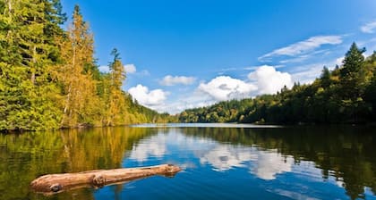 Estudio 'Emerald Lake' - ¡TENEMOS UNA NUEVA BARBACOA!