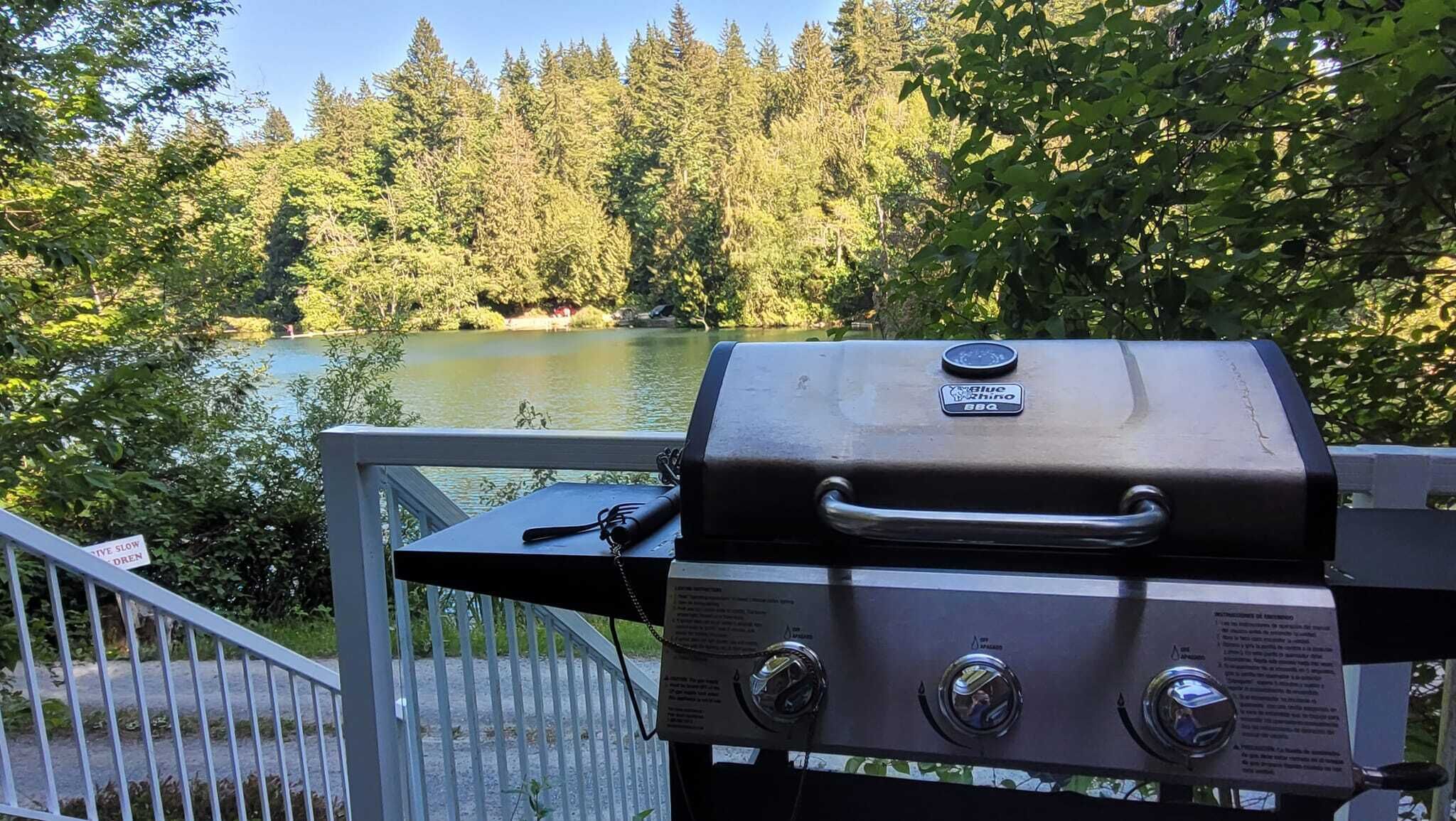 A grill with a view of a lake and forest.