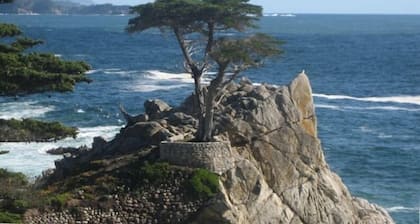 Oceanview Designer Beach House 2 pases de acuario gratis