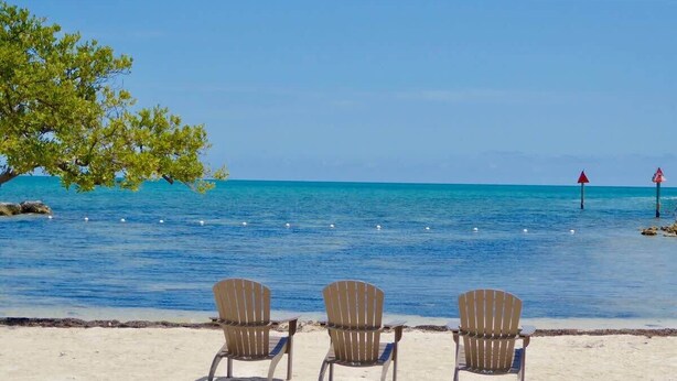 Tres sillas Adirondack mirando una playa con agua azul cristalina y un árbol a la izquierda.