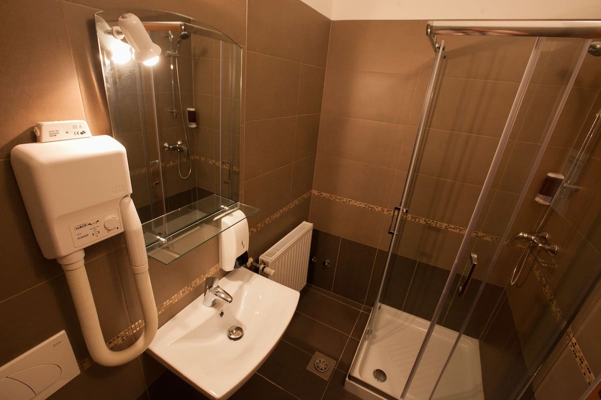 shower, free toiletries, hair dryer, towels