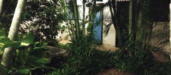 Comfortable rooms for rent