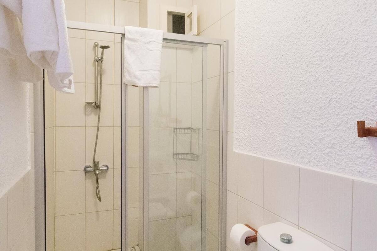 shower, free toiletries, hair dryer, towels
