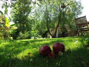 Property grounds - Narli Pansiyon (Marmaris)