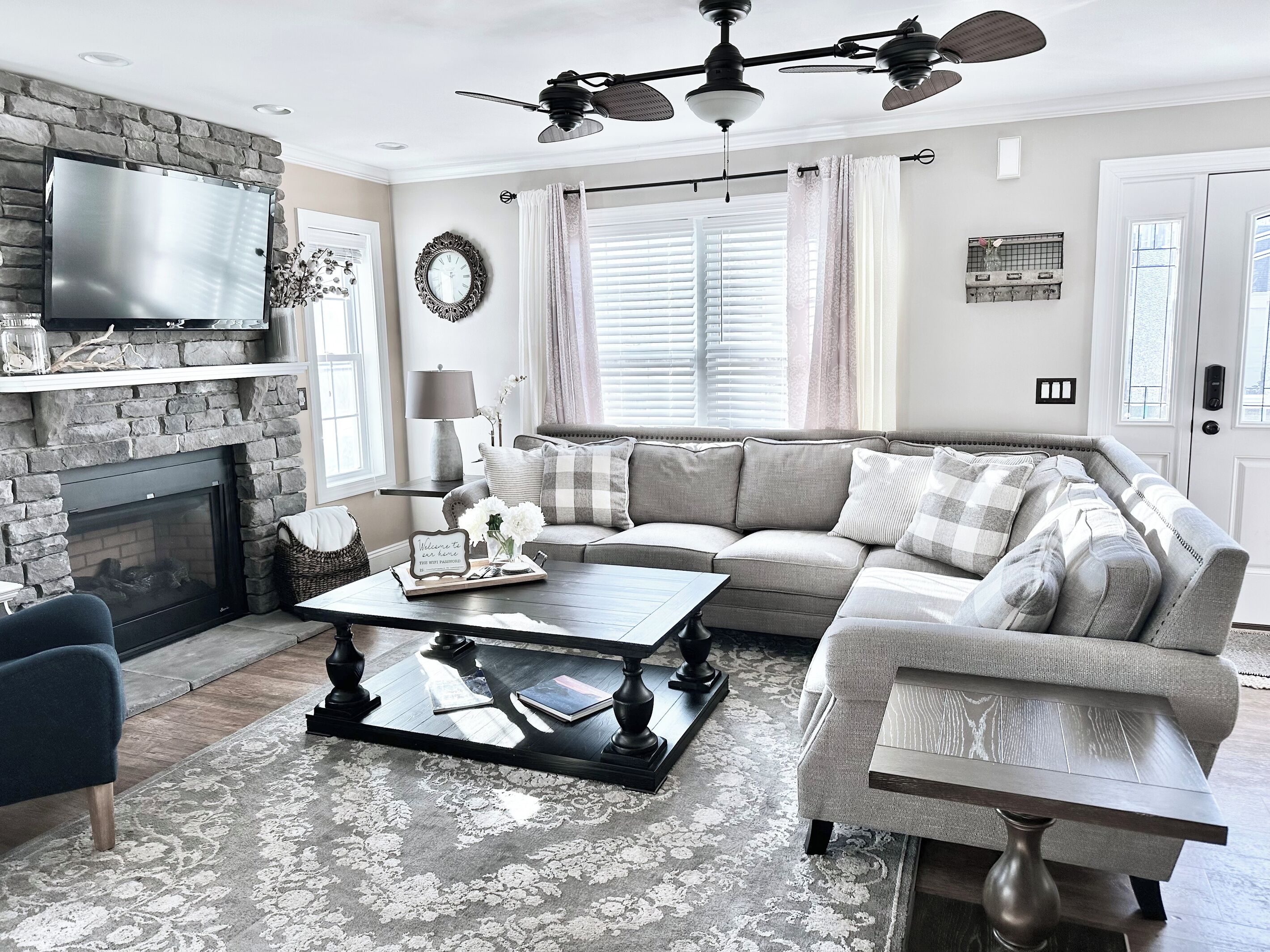 Smart TV, fireplace, books, music library