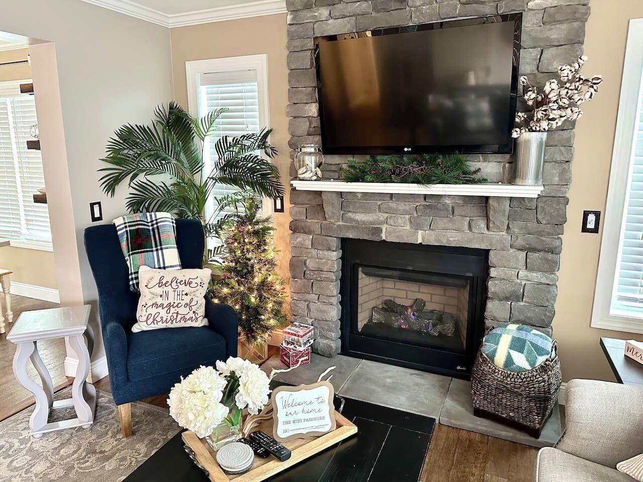 Smart TV, fireplace, books, music library