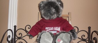 2019 hjemmefodboldkampe til rådighed, GIG "EM