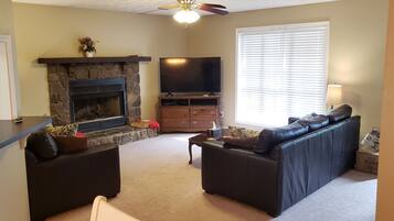 TV, fireplace, books