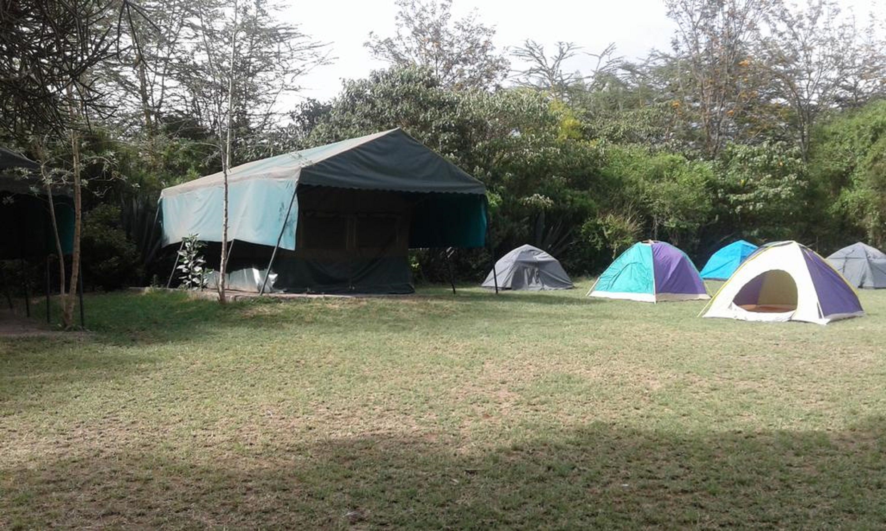 Cactus Eco Camp and Lodge Reviews, Deals & Photos 2026 - Expedia