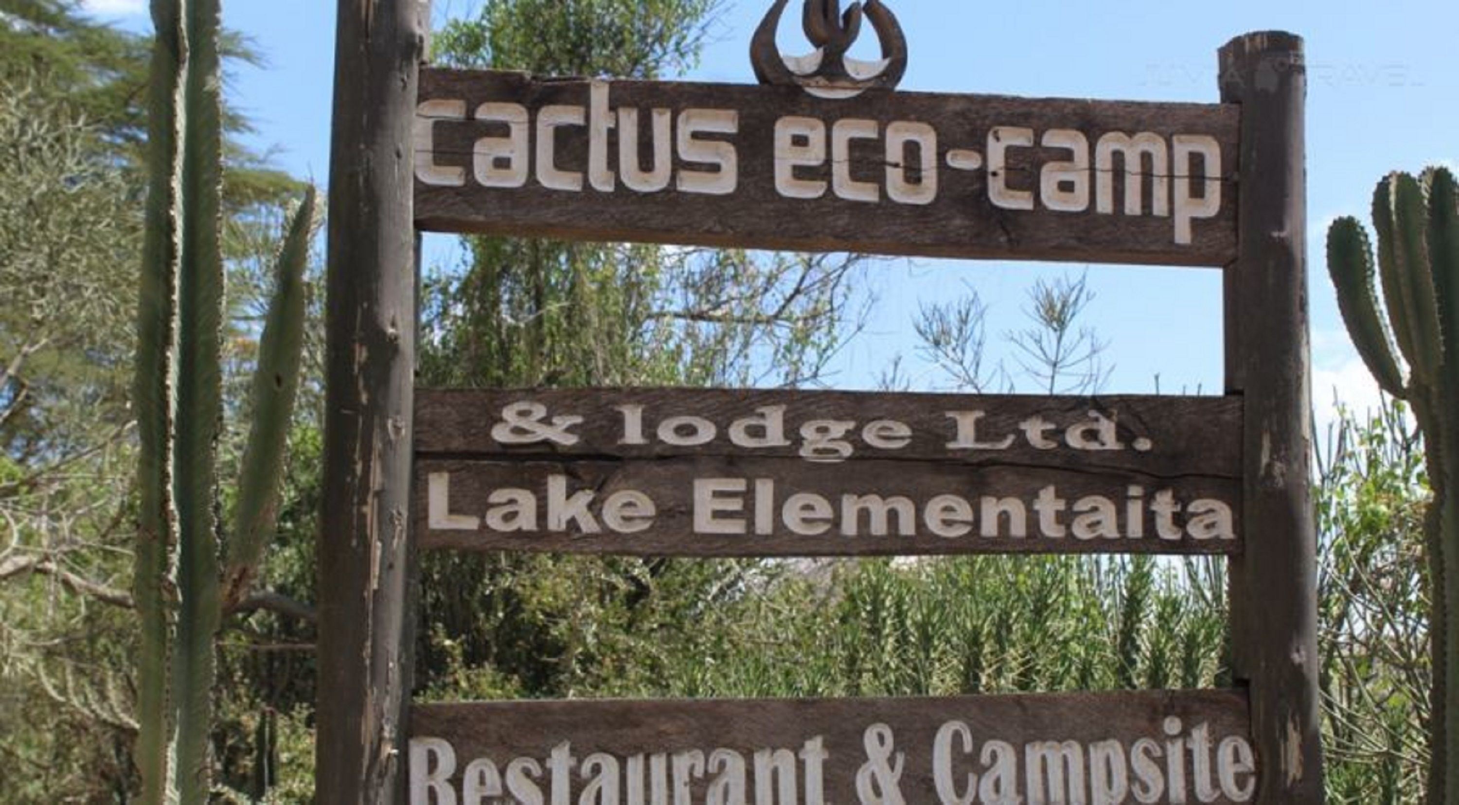 A wooden sign with text indicating a cactus eco-camp, lodge, and restaurant.