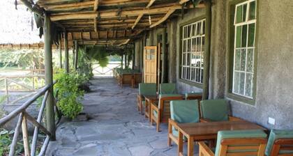 Cactus Eco Camp and Lodge