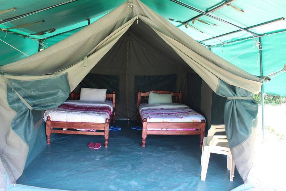 Una carpa con dos camas de madera, piso azul y una silla blanca.
