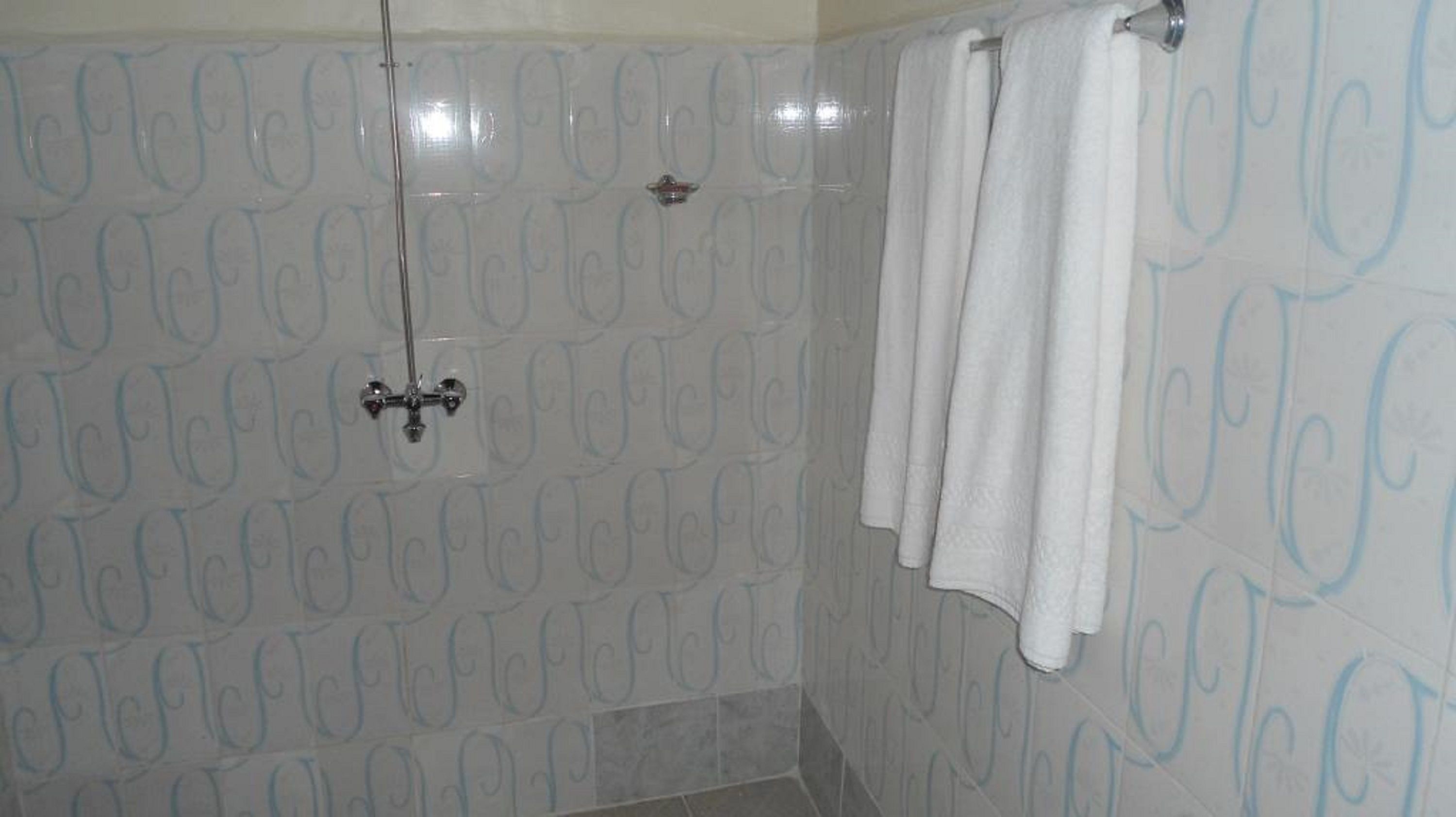 A bathroom with patterned tiles, a shower, and a towel rack.