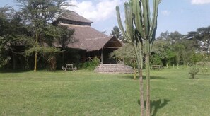 Property grounds - Cactus Eco Camp and Lodge (Gilgil)