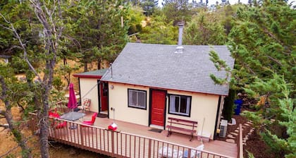 2 B/R Most Popular! "Time Traveler Retreat" (Pets Welcome)