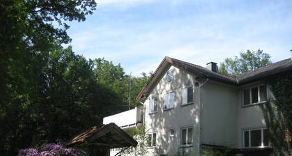Villa Siesta