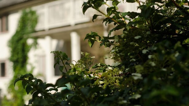 A building with a balcony and greenery in the foreground.