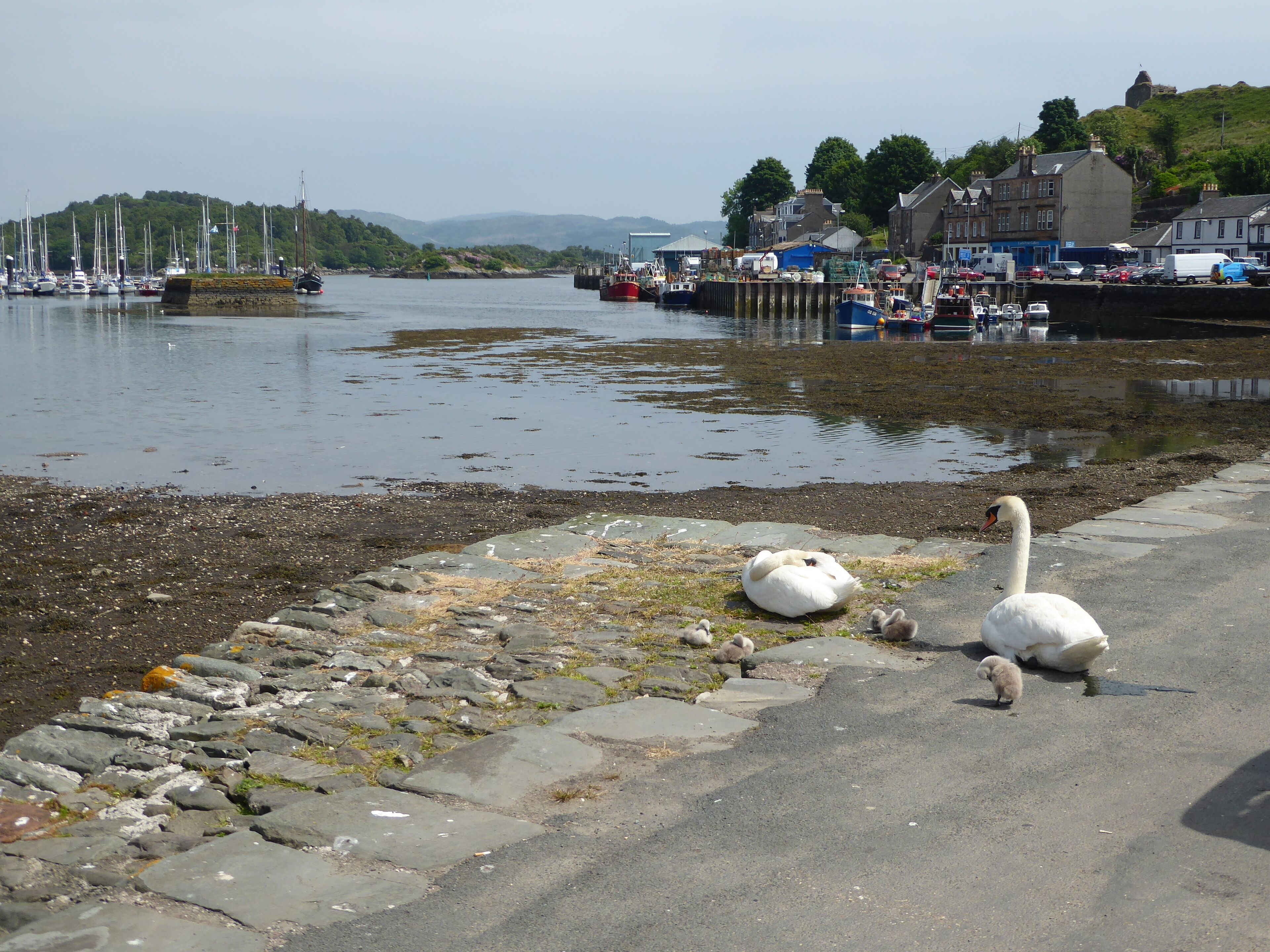 The fishing harbour at Tarbert on Loch Fyne