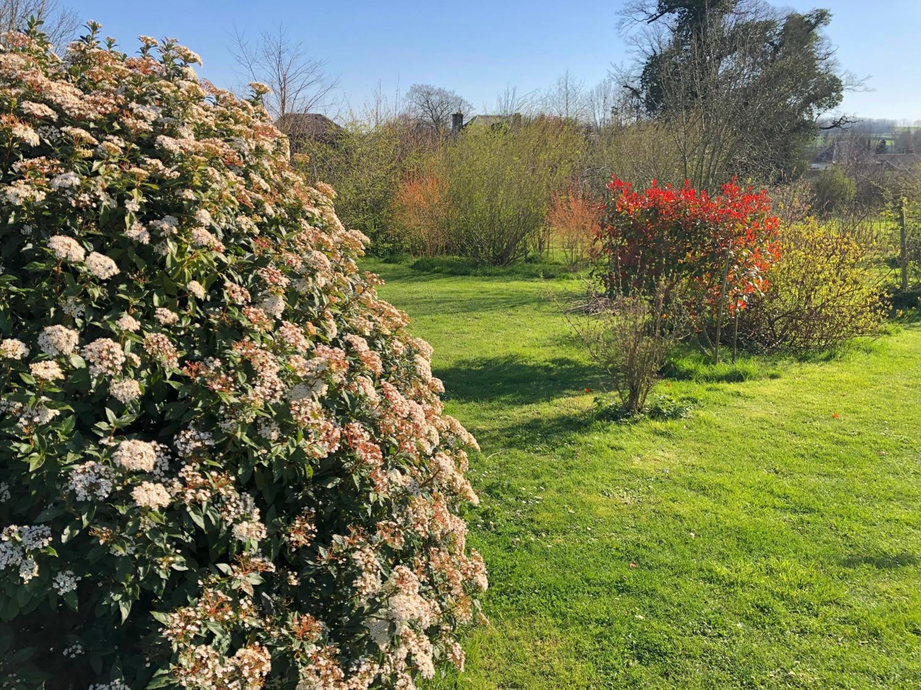 Khuôn viên nơi lưu trú