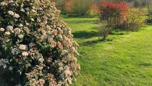 A well-maintained garden with a variety of flowering shrubs and trees, a grassy lawn, and a clear sky. - Le Relais du Beffroi (Saint-Riquier)