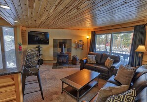 TV, fireplace - Goldcamp Launchpad - Hike, Ski, & Hot Tub! (Breckenridge)