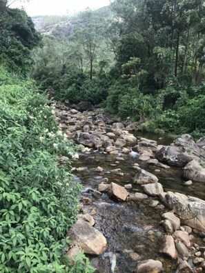 View from property - Pure Land Villa (Nallathanniya)