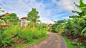 Children’s activities