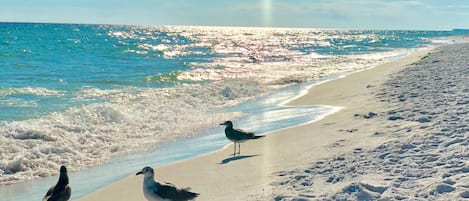 Private beach, white sand