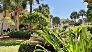 Un jardín exuberante con palmeras y setos cuidados.