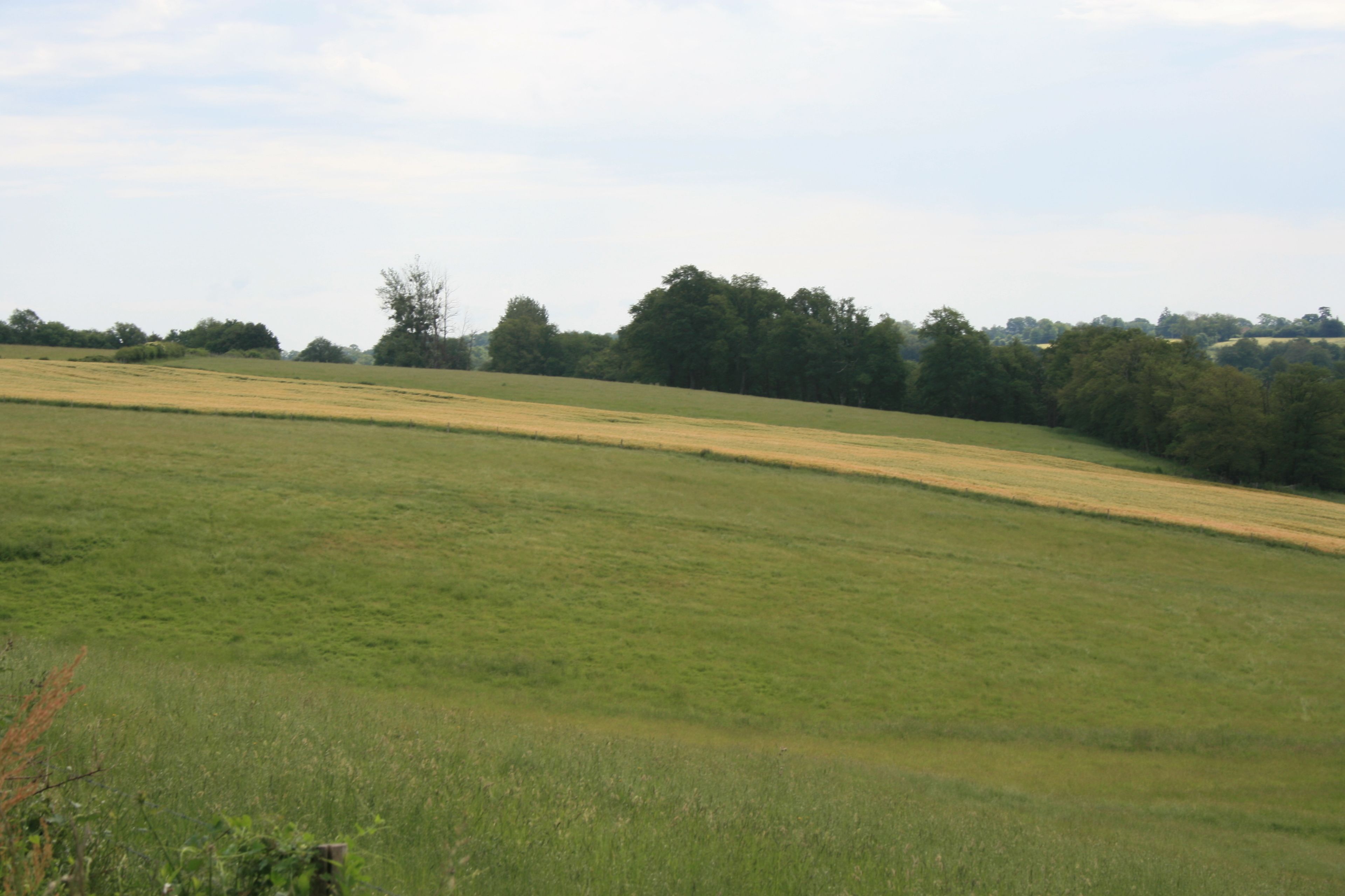 A wide, open field with a gentle slope, surrounded by a line of trees and a distant tree line.