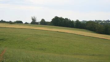 A wide, open field with a gentle slope, surrounded by a line of trees and a distant tree line.