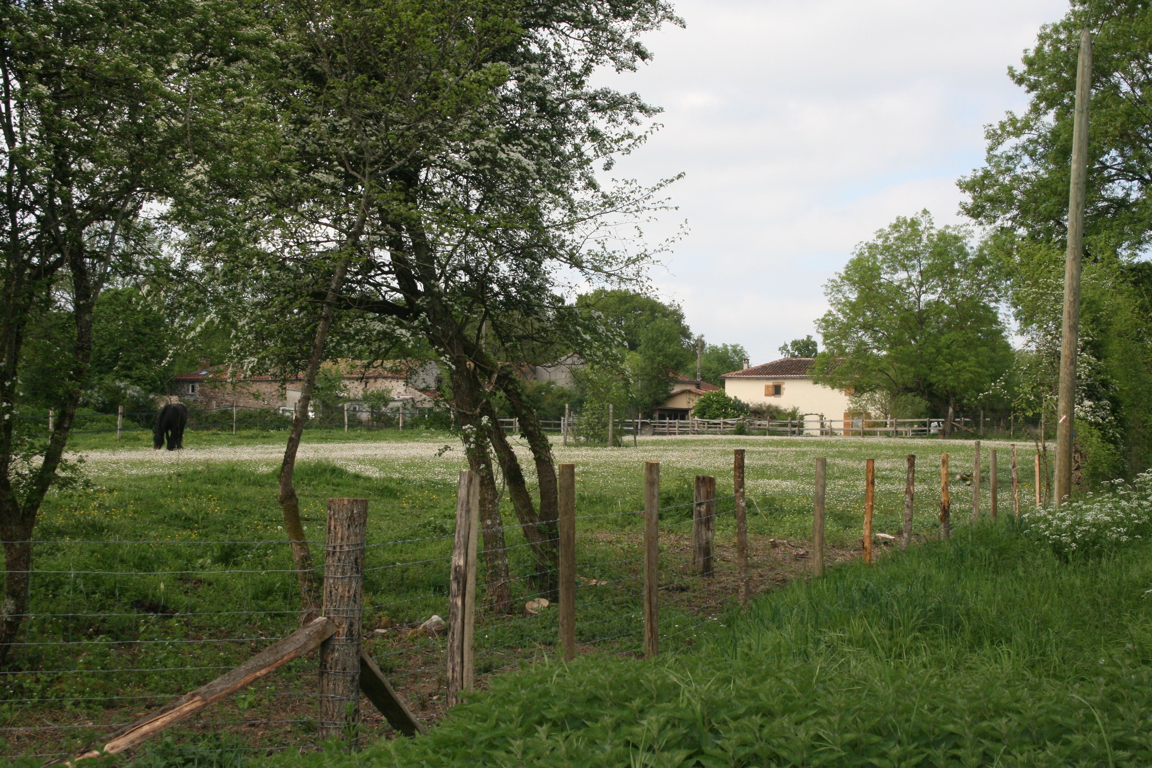 Een omheind buitengebied met bomen en een gebouw op de achtergrond.