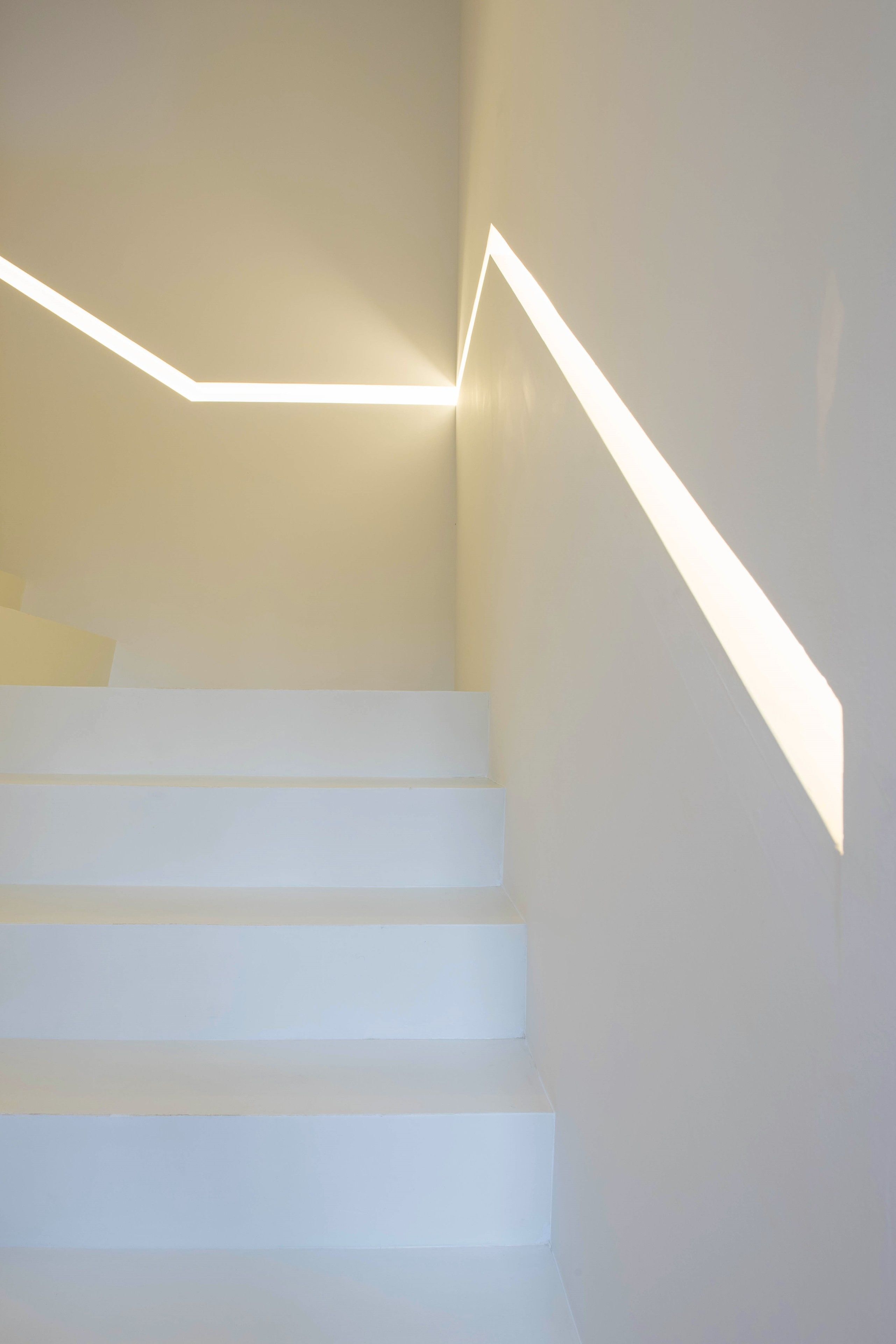 Foto - Herdade do Ananás