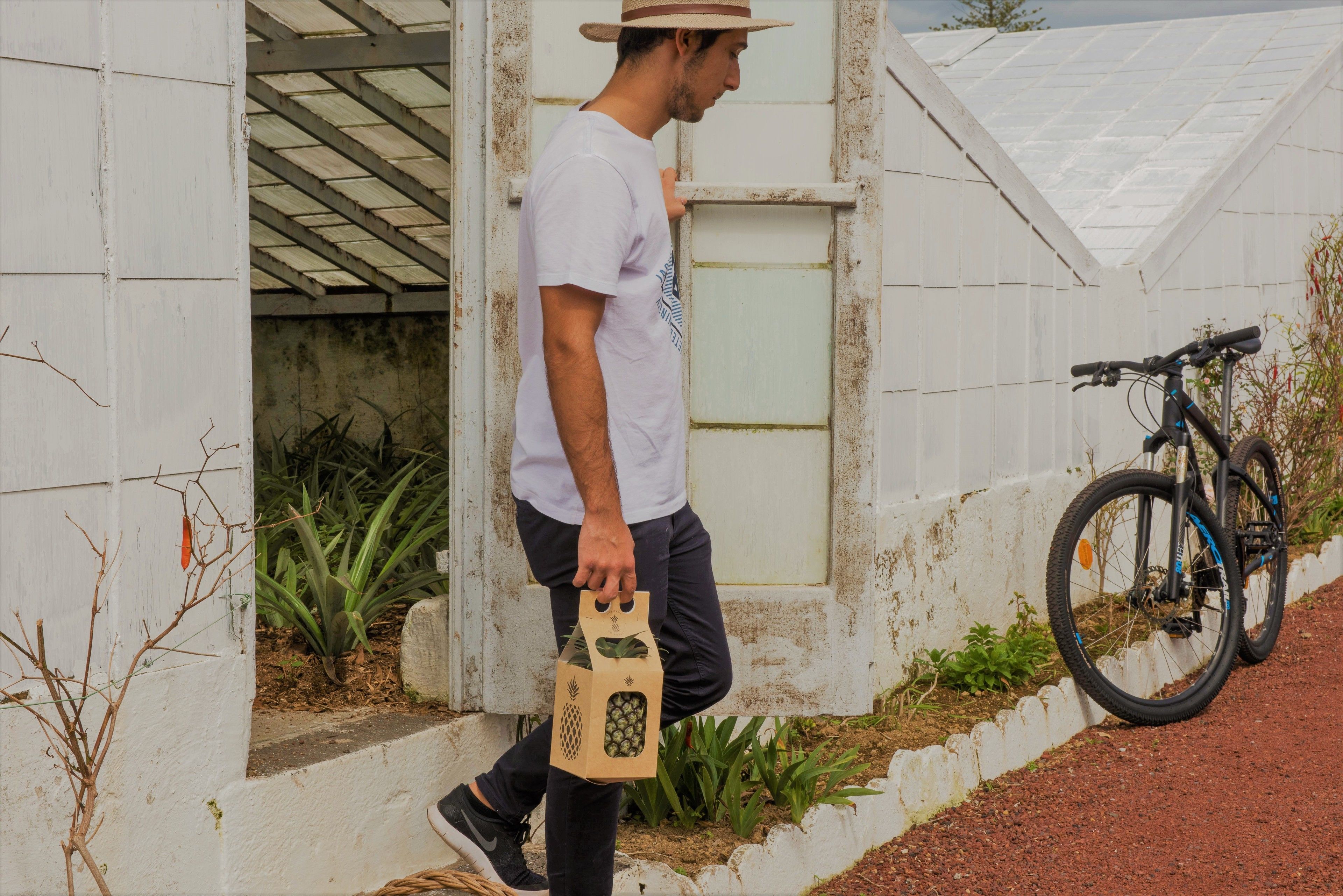 Foto - Herdade do Ananás