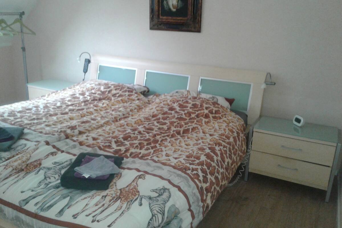 City Double Room, 1 King Bed, Shared Bathroom | 1 bedroom, soundproofing, iron/ironing board, free WiFi