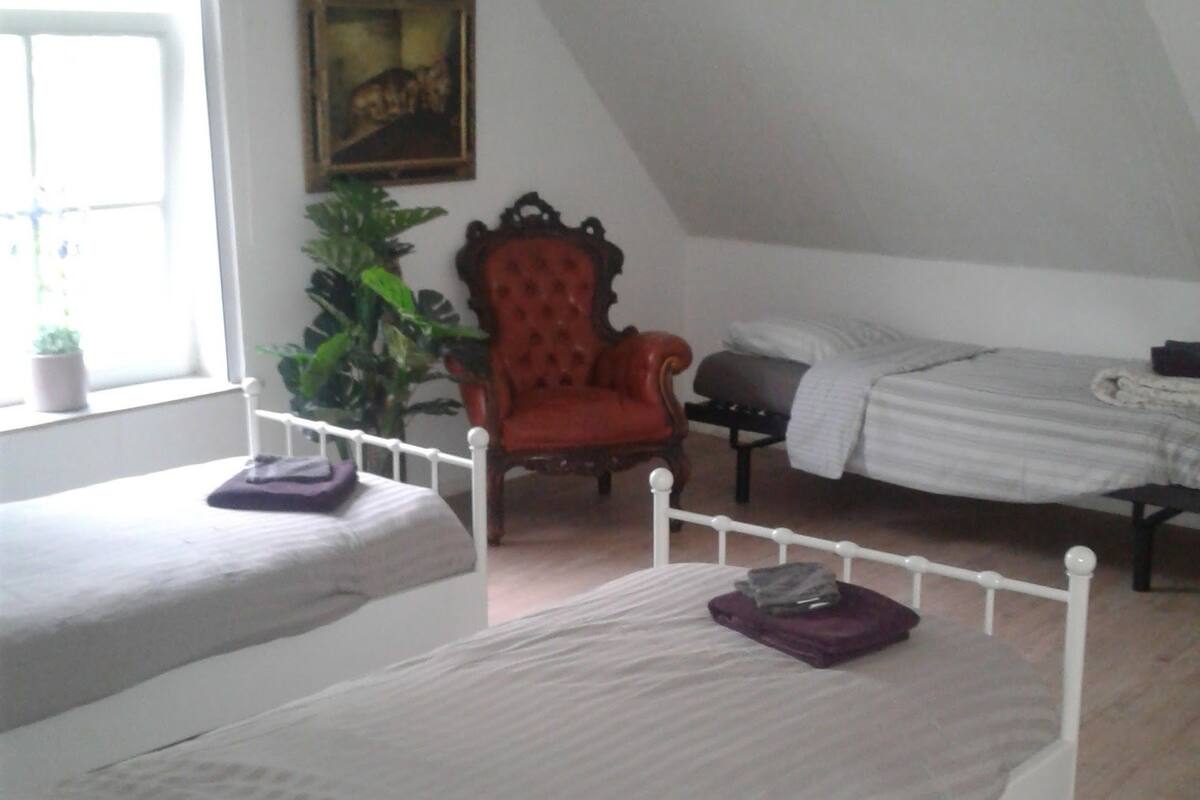 Business Double Room, Private Bathroom | 1 bedroom, soundproofing, iron/ironing board, free WiFi