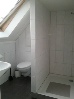 Business Double Room, Private Bathroom | Bathroom | Shower, free toiletries, hair dryer, towels