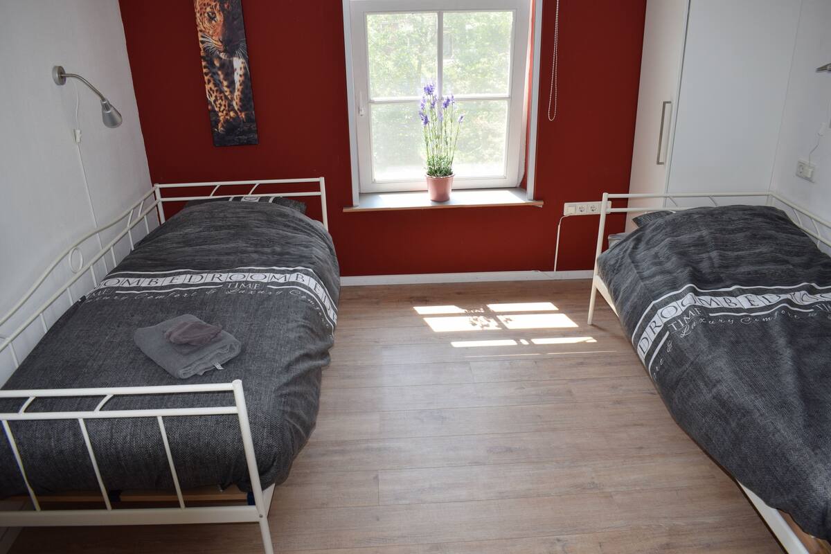 Basic Double Room, 2 Twin Beds, Shared Bathroom | 1 bedroom, soundproofing, iron/ironing board, free WiFi