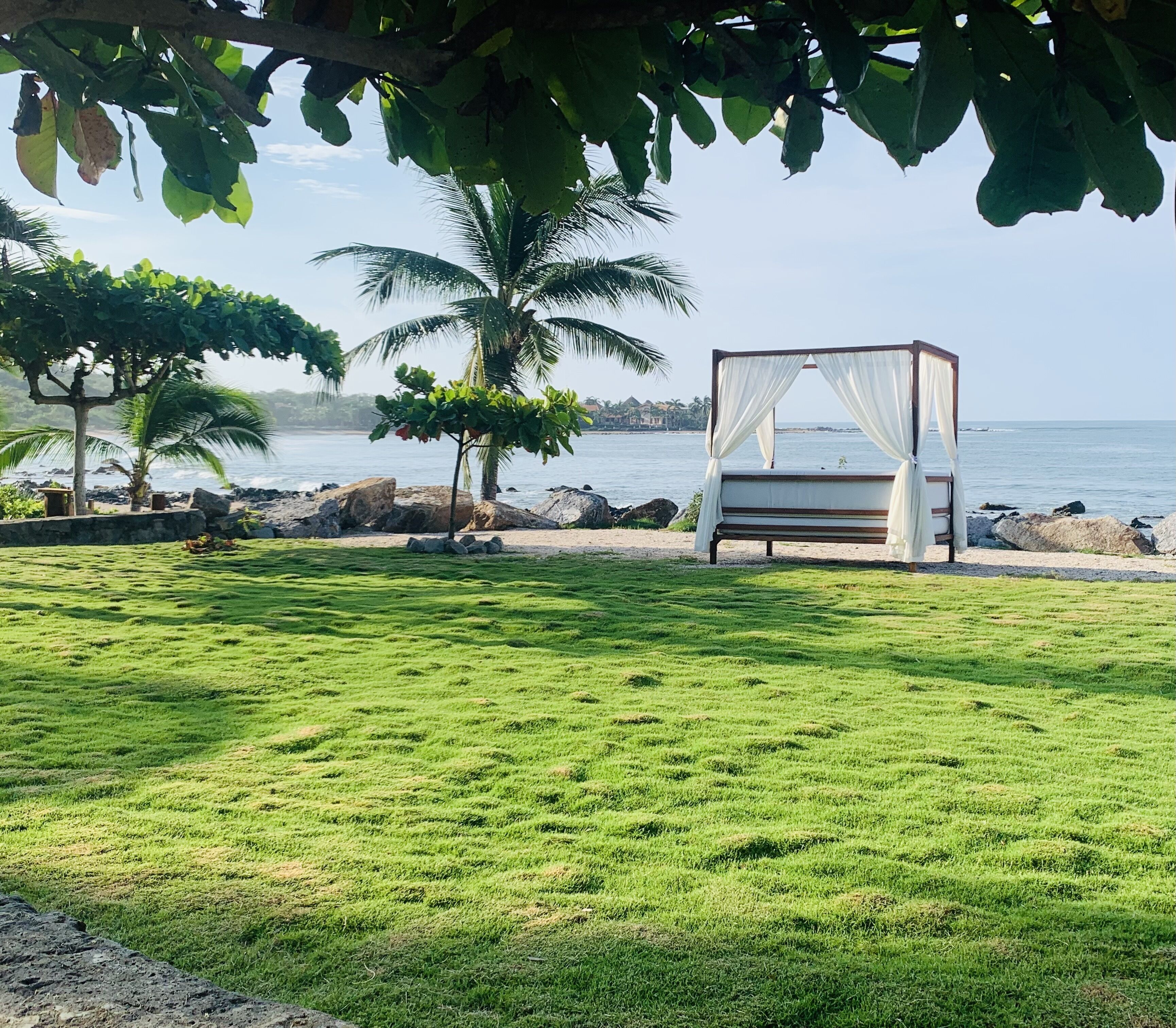 A grassy area with a bed under a tree, a palm tree, and a view of the sea.