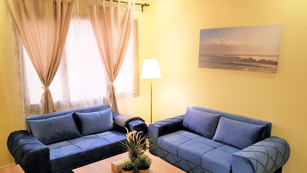 A living room with two blue sofas, a wooden coffee table with plants, a lamp, and a painting on the wall.
