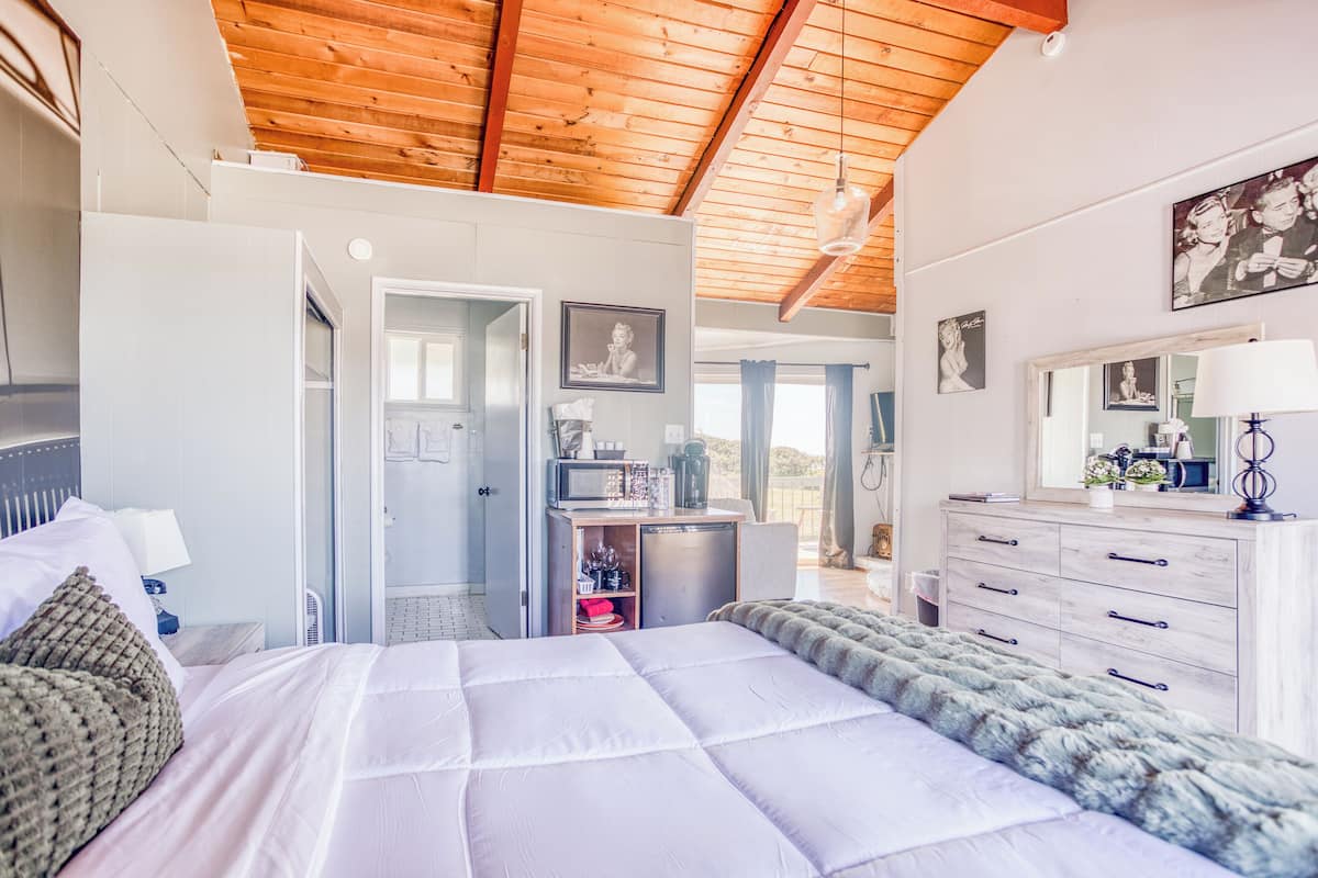 A bedroom with a bed, a dresser, a mirror, and a kitchenette.