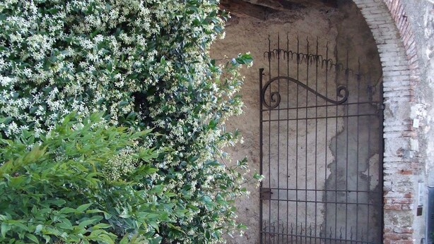 A stone archway with a metal gate, surrounded by dense foliage. - Agriturismo Cascina Rossano (Provaglio d'Iseo)